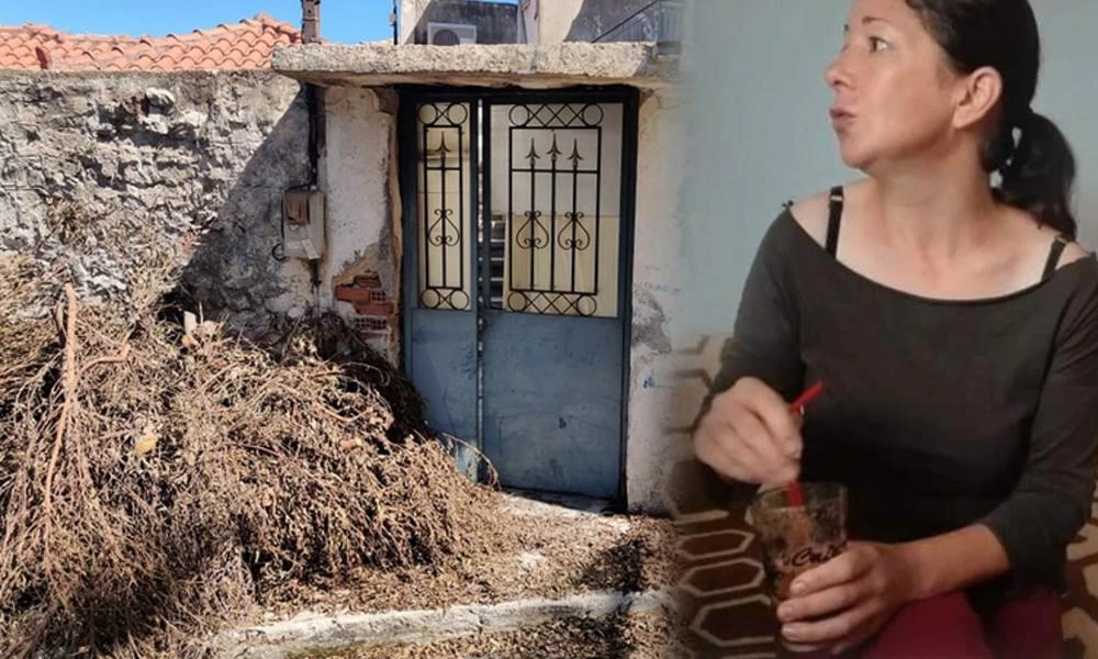 Έγκλημα στην Κυπαρισσία: «Έκανε μαύρη στο ξύλο τη Μόνικα – Ζούσε έναν εφιάλτη»